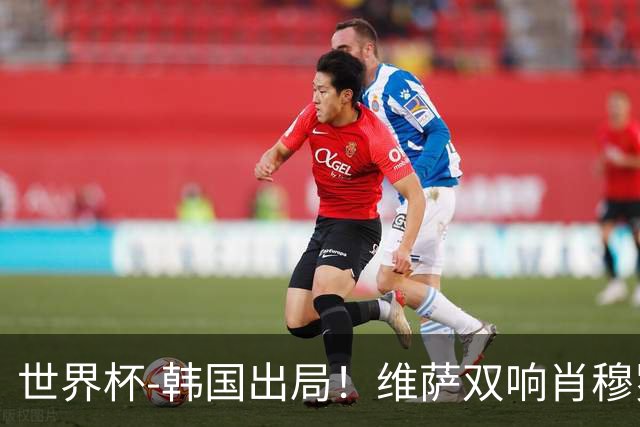 世界杯-韩国出局！维萨双响肖穆罗多夫神仙球 民主刚果3-1乌兹